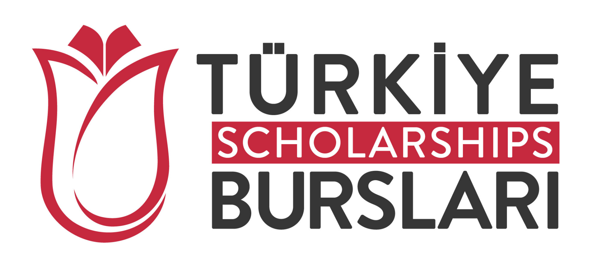 Türkiye Bursları Başarı Bursu Başvuruları Başladı!